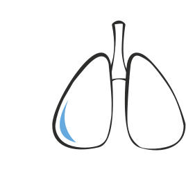 Icône illustrant des poumons.